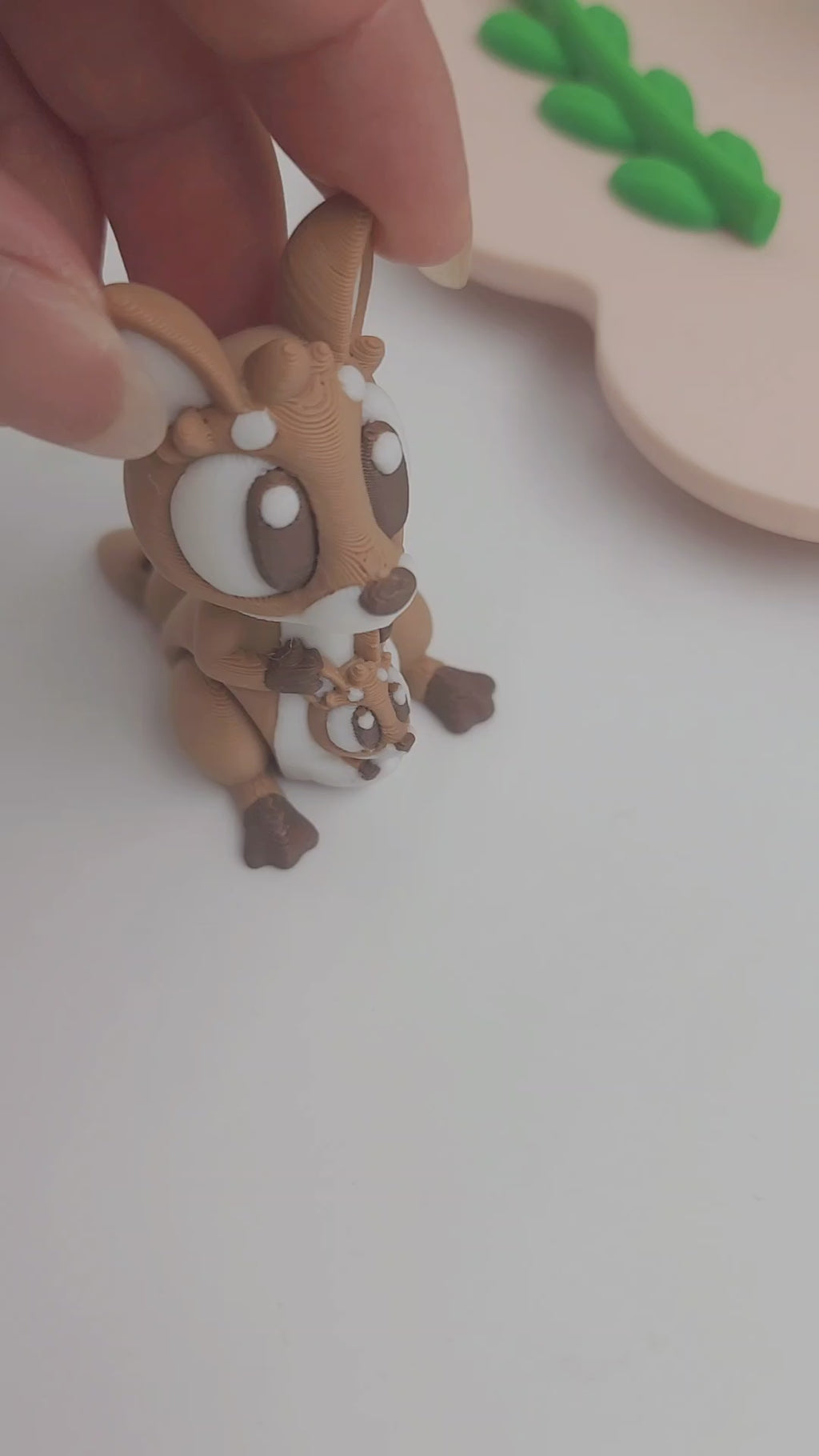 close up of jumping kangaroo and joey